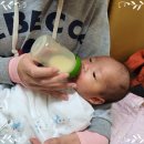 하진목장 이미지