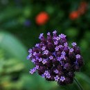 일복빌딩 이미지