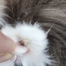 온아동물의료센터 이미지