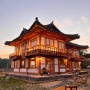 부여애견 이미지