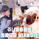 쥬니멀 전시장 | 함께] 아이가 귀여운 동물과 교감할수 있는 먹이체험 가능한 청주실내동물원 "쥬니멀동물원" 이용후기