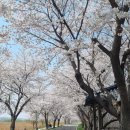 만경강길 2코스 이미지