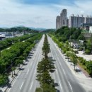 가로수길 이미지