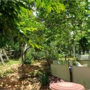 자산동242 이미지