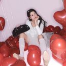 246 이미지