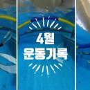송파청소년수련관 | 4월 운동기록 총16회 수영&amp;스쿼시&amp;프리다이빙