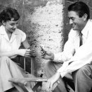 로마의휴일 이미지