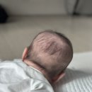 까까머리미용실 | 김포 아기 미용실 구래동 채움헤어 후기 | 19개월 아기 추노 탈출!