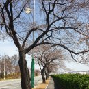 낙동강변로-4 이미지