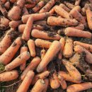 하니농장 이미지