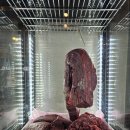 환이네 뭉티기 이미지