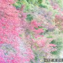 철암초등학교 이미지