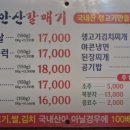 안산갈매기 이미지