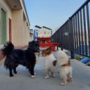 망주봉산장 이미지