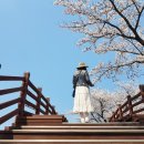 대교약선요리 이미지