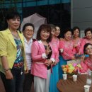 산들바람 이미지