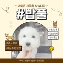 동대문 루시드 동물메디컬센터 이미지