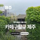 카페구할구제주 | 제주 동쪽 여행 조천 월정리 카페 추천 카페구할구 제주