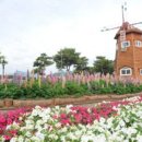 곡성-169 이미지