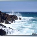 동해파도소리 이미지