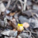 황전(순천) 이미지