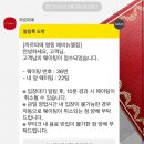 삼성(아) | 까르띠에 가격 인상 전 팬더미니 시계 • 앵끌루다이아 팔찌 구매 후기 &amp; 롯데백화점 삼성카드 할인팁