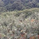 유평농장 이미지