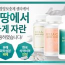 셀라케어