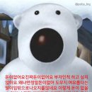 금강회관 이미지