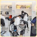 해맑은 애견미용 | 애견미용 알바 도전 후기