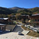 국립청도산림교육센터 이미지