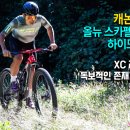 월드타이어부분정비 이미지