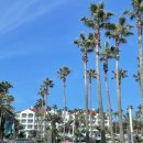 (주)벨투어제주 | 🕊️W6. 제주 결혼식장 투어 / 제주 소노벨 호텔 (3) / 계약 후기 📋