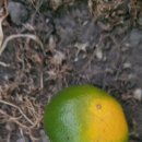 경중농장 이미지