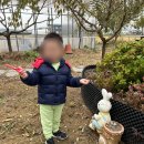 신성농장 | 아기랑 가볼만 한 곳_경기패스 농촌체험🐄 추천후기!! (루나의 뜰, 벼꽃농부 카페, 꿈 목장, 가농...