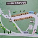 아리아리 숲속의 야영장 이미지