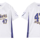 핑크홀리 이미지