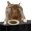 대영엔스빌2 | EF 뉴욕 캠퍼스 어학연수 상담 후기 [출국 전 01]