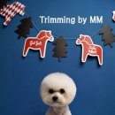 트리밍아유 이미지