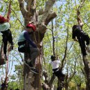 부산진유치원 이미지