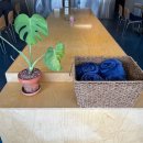 햇살빌딩 | 안동 카페 큐큐큐 소금빵 맛집, 햇살 맛집 왕추천 후기