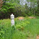 대진보건진료소 이미지