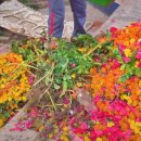 무한리싸이클 이미지