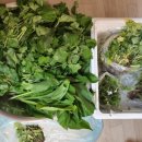 부천하이웨이주유소 이미지