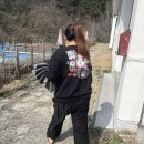 로로 포레