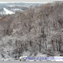 흥덕1로48번길 이미지