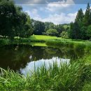 현중원로 이미지