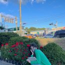 덕비네수제간식 이미지