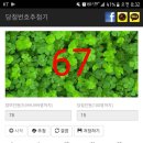 스티 카카오 검색결과