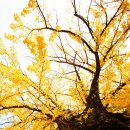 농암초등학교 이미지